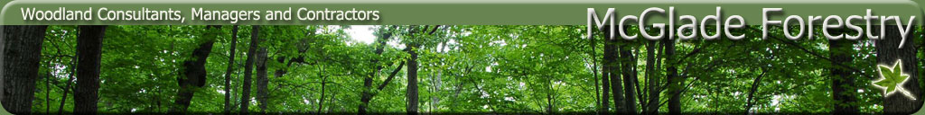 Woodland Consultants | McGlade Forestry