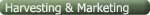 Woodland Harvesting and Marketing