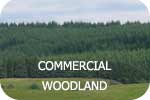 Commercial Woodland